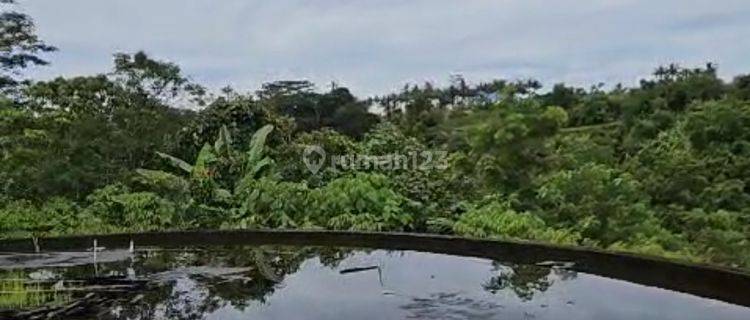 Tanah Bonus Struktur Hotel Bintang 5 Super Murah Di Ubud  1