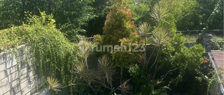 Cm686 Sewa/ Jual Rumah Semi Villa Mahendradata Denpasar Bali Dekat Imam Bonjol Teuku Umar Kerobokan  1