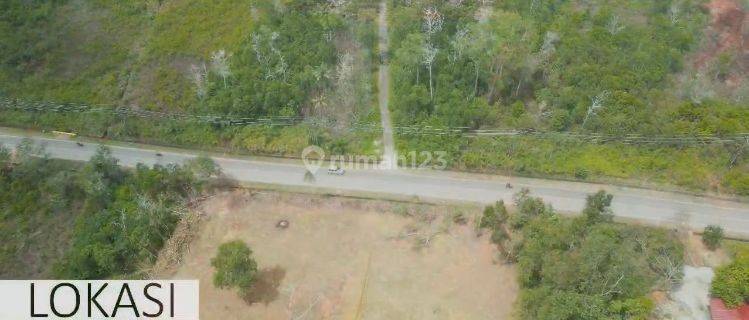 Cm787 Jual Tanah 5 Hektar Raya Kawal Bintan Batam Kepulauan Riau  1