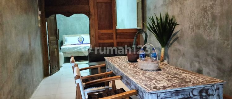 K501 House for Rent Tegal Dukuh Padangsambian Denpasar Bali Near Mitra 10 Gatsu Dalung Kerobokan Ayani 1