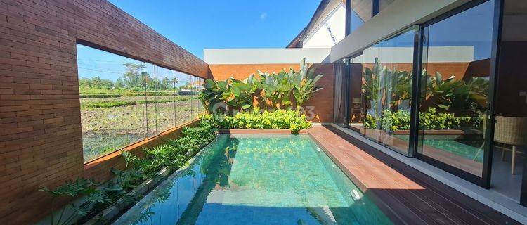Cm712 Sewa Villa View Padi Lodtunduh Ubud Gianyar Bali Dekat Batubulan Mambal Badung Bali Zoo Ubud Center Mongkey Forest 1
