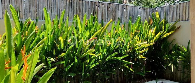 Cm743 Bumbak Umalas Badung Bali Villa Rental Near Kerobokan Canggu Seminyak Denpasar 1