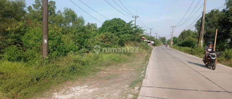 Dijual Tanah Shm 25 Ha Di Zona Industri Kawasan Giic Cilangkara Cikarang 1