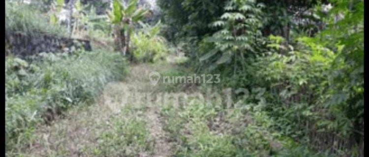 Dijual Sebidang Tanah Di Caringan, Kabupaten Bogor 1