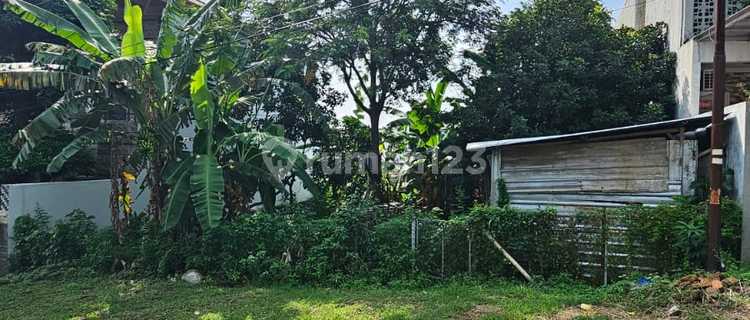 Tanah Bagus Hadap Utara Bentuk Kotak Lokasi Candi Kalasan Semarang Barat 1