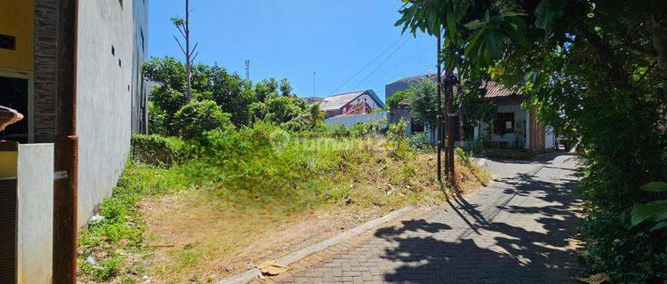 Di Jual Tanah Strategis Dekat Undip Tembalang SHM 101 m² 1