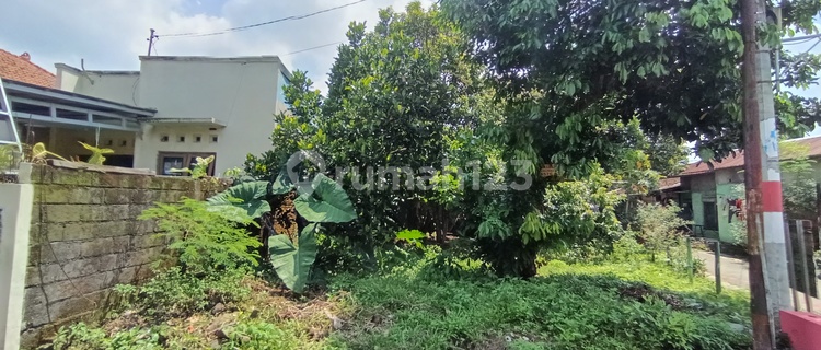 Geneng Hill Pati Land Plot with SHM Certificate 1