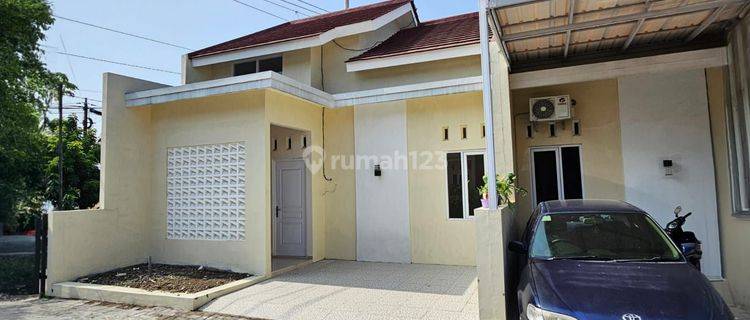 Di Jual Rumah Pinggir Di Jalan Klipang Raya 1