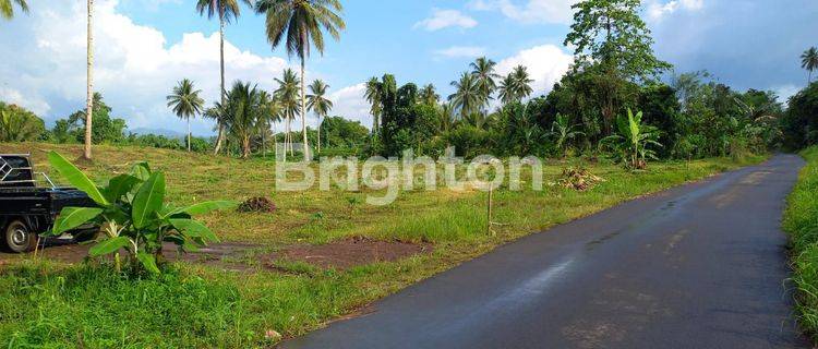 TANAH DI DESA KOLONGAN TALAWAN MINUT MANADO SULAWESI UTARA 1