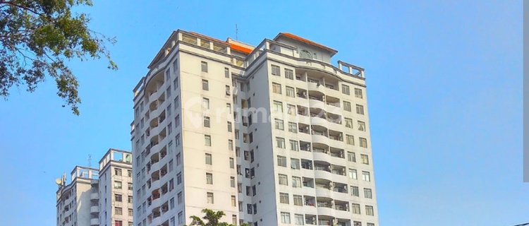 Cheap Luxury Boarding House 1