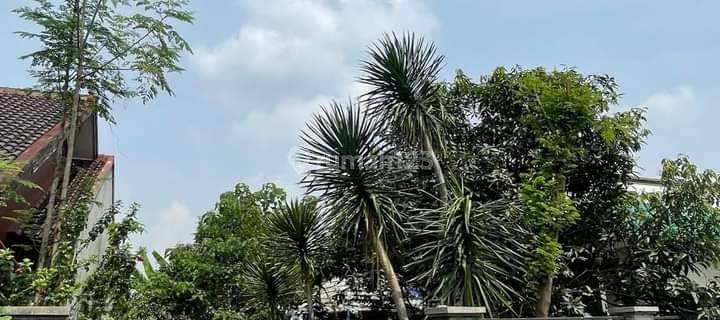 Tanah 540 M2 Asri View Gunung Salak Laladon Ciomas, Bogor 1