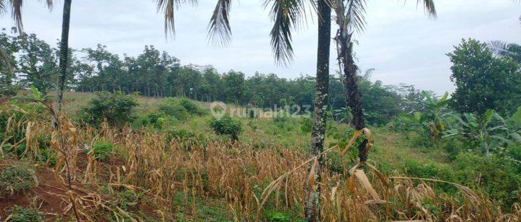  Tanah di Saguling SHM - Sertifikat Hak Milik 15000 Squaremeter 1