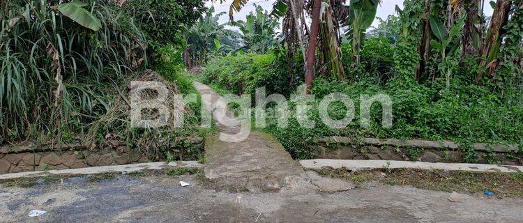 Lahan Tanah di Sukaraja Cijujung Bogor Jawa Barat 1