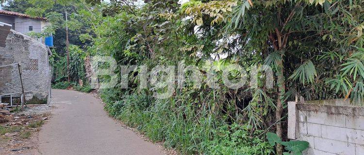 Lahan Tanah di Babakan Madang Sentul Bogor Jawa Barat 1