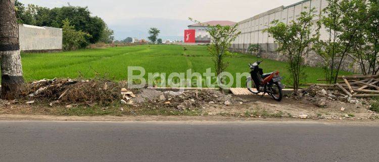 TANAH KERING MEPET KOTA SUKOHARJO COCOK UNTUK PERUMAHAN ATAU TEMPAT USAHA 1