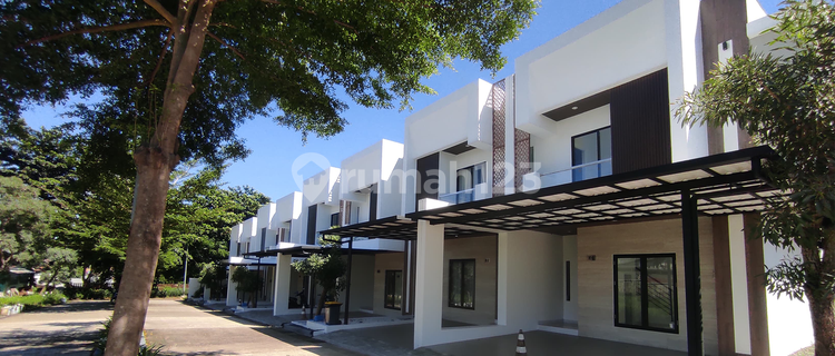 Green Bamboo Terrace 1