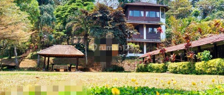 Dijual Villa Dengan Sawah Pancawati, Caringin Bogor 1