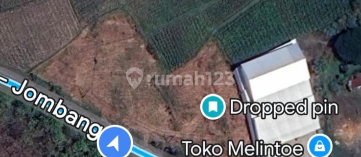 Juak Tanah Di Lamongan Ngimbang 1