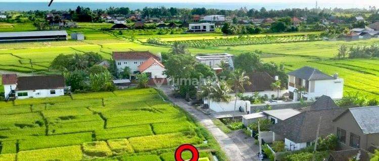 Prime Leasehold Land Opportunity In Kedungu, Bali 1