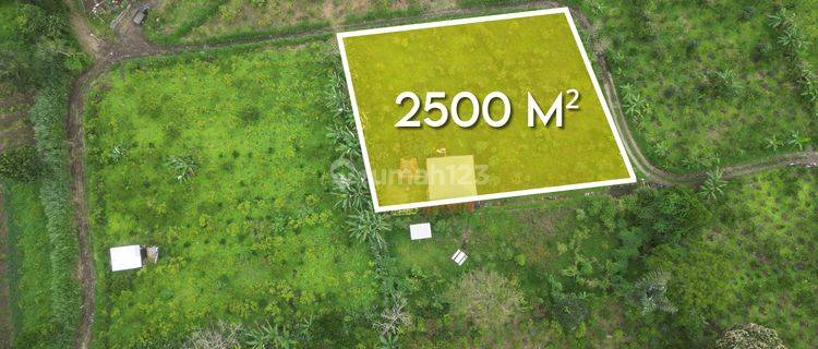 Large Land Plot With Peaceful Surrounding And Perfect For Villa Location For Sale In Kintamani 1