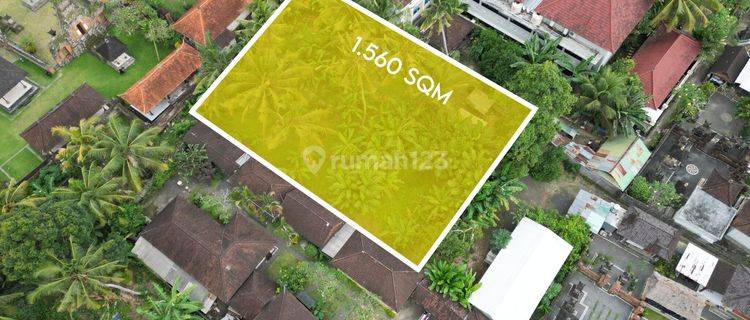 For Sale 15.6 Are Land In Sayan, Ubud 1