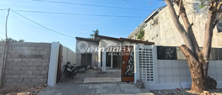Di Jual Rumah Mewah Tapi Murah Lokasi Strategis Area Perkotaan Pusat Kota Walikota Kota Kupang Ntt 1