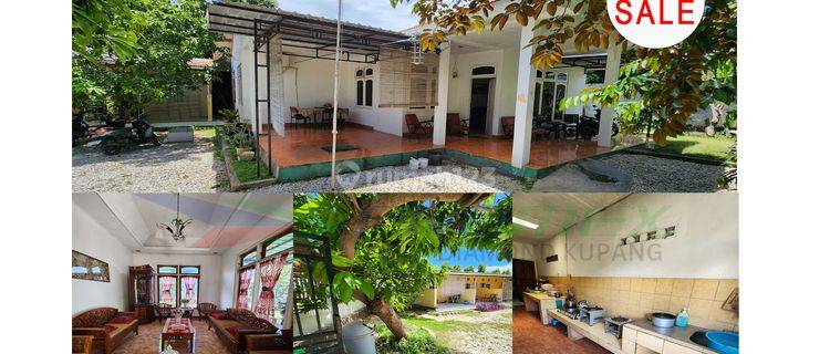 Di Jual Rumah Dan Kos Kosan Lokasi Strategis Area Liliba Kota Kupang Ntt 1