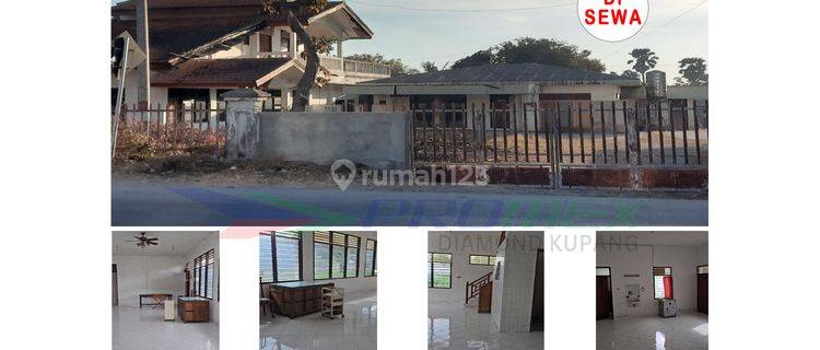 Di Sewakan Rumah Lokasi Strategis , Pinggir Jalan Raya , Cocok Buat Bisnis Area Oesapa , Jl Timor Raya 25 A Kota Kupang Ntt 1