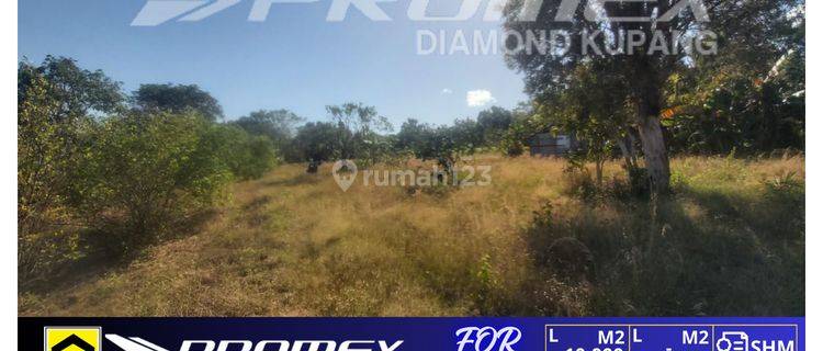 Di Jual Tanah Lokasi Strategis Area Fatukoa Kota Kupang Ntt 1