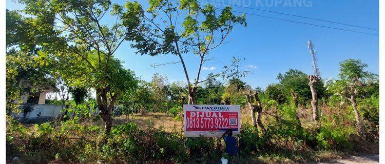 DI JUAL TANAH MURAH LOKASI STRATEGIS BAUMATA KOTA KUPANG NTT 1