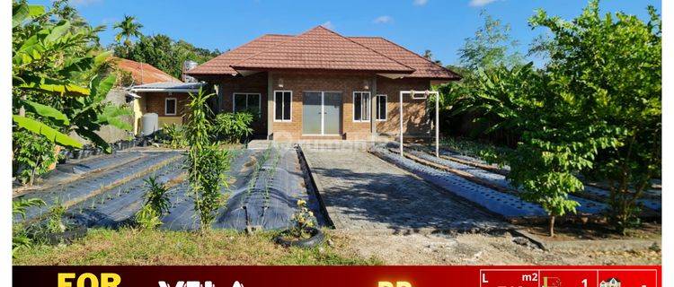 DI JUAL  VILA MURAH LOKASI STRATEGIS AREA BAUMATA KOTA KUPANG NTT 1