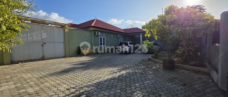 DI SEWAKAN RUMAH SUPER MENARIK LOKASI STRATEGIS AREA KOTA KUPANG NTT 1