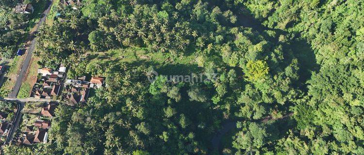 [f97] Tanah View Hutan Cocok Untuk Komplek Villa Dekat Kota Gianyar 1