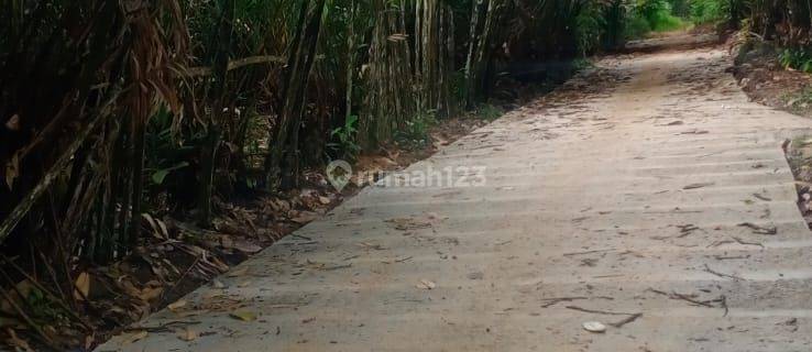 Tanah besar kilo 21, belakang mentari village cocok untuk investasi 1