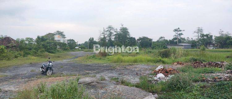 TANAH SAWAH DENGAN AKSES JALAN LEBAR DI PASURUAN JAWA TIMUR 1