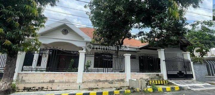 Disewakan Rumah di Jalan Kupang Indah Surabaya 1