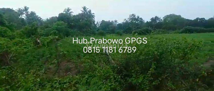 Dijual Tanah SHM ±400.000 m² (±40Ha)Rp75Rb/m2, Cocok Buat Inves Cikeusik Pandegelang 1