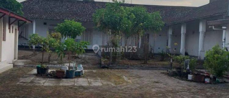 Dijual Rumah & Sarang Walet Rembang - Jawa Tengah 1