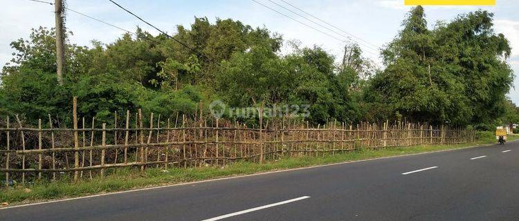 Dijual Tanah Di Raya Telangoh Bangkalan Madura 1