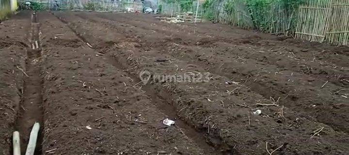 Di Jual Lahan Kosong Di Area Cikajang Garut. Bentuk Tanah Kotak Shm, Sangat Cocok Buat Perumah / Kandang Ternak 1