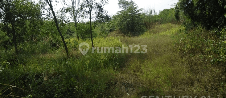 Tanah Industri Dan Komersial Dijual Segera 1