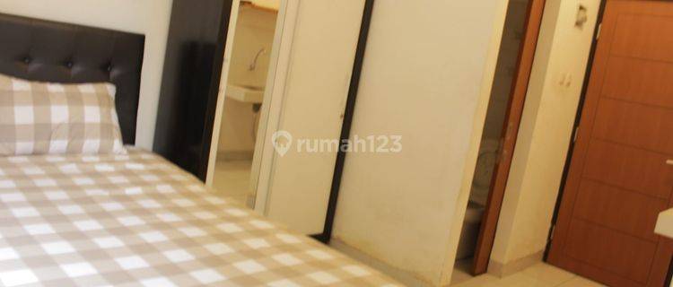 Disewakan Full Furnish Apartemen Ecohome Citra Raya 1