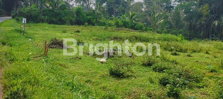 TANAH COCOK UNTUK INVESTASI DI TEMANGGUNG 1