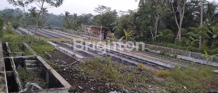 EKS PABRIK TAPIOKA SIAP PAKAI DI LOKASI STRATEGIS BANJARNEGARA 1