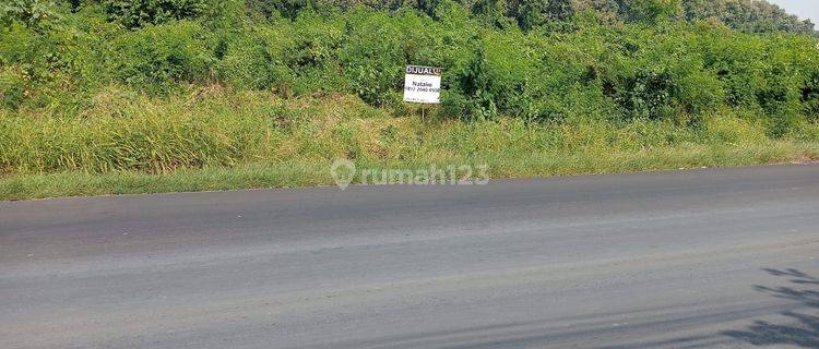 Tanah 3 Hektar Jalan Protokol Depan Gunung Pinang 1