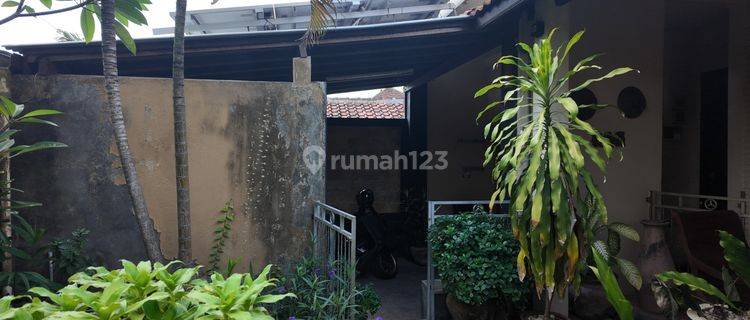 Well Maintained Classic House Close to Nusa Dua Toll Quiet Environment 1