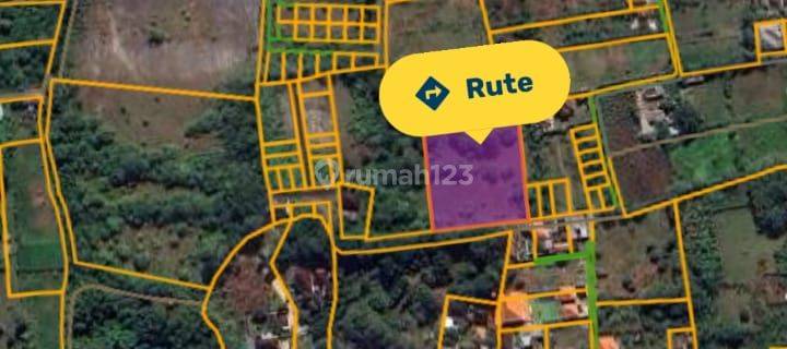 Dijual Tanah Lingkungan Villa Di Kutuh Kuta Selatan 1