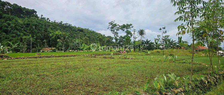 Di Jual Tanah Darat Dan Sawah Di Pamijahan Bogor 1