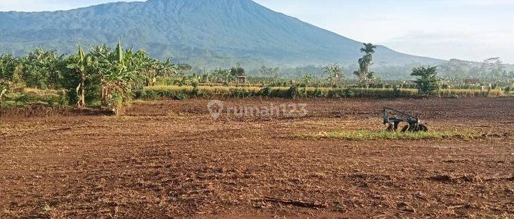 Tanah Murah Kebocoran Purwokerto  1