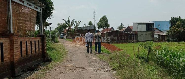 TANAH MURAH DUKUWALUH PURWOKERTO  1